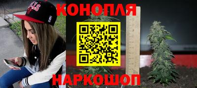 apvp Нальчик