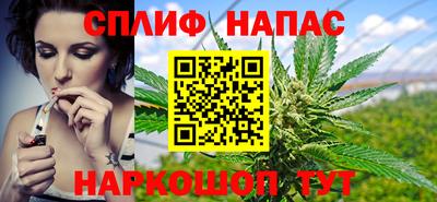 apvp Нальчик